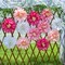 Daisy Tissue Paper Pom Poms, Wildflower Party Decorations(pink)